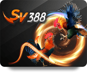 เริ่มต้นการเล่นเกมกับ Alpha88 เครือค่าย ง่ายๆ ในไม่กี่ขั้นตอน